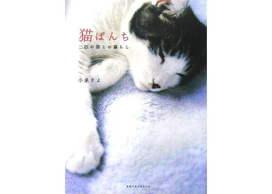 楽天ブックス 猫ぱんち 二匹の猫との暮らし 小泉さよ 本 楽天ブックス 猫ぱんち 二匹の猫との暮らし 小泉さよ 本